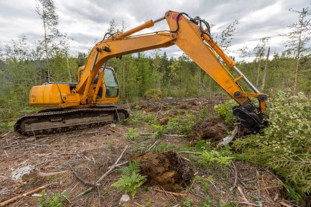 Metsänhoitoyhdistyksen maanmuokkauspalvelu auttaa taimesi hyvään kasvuun