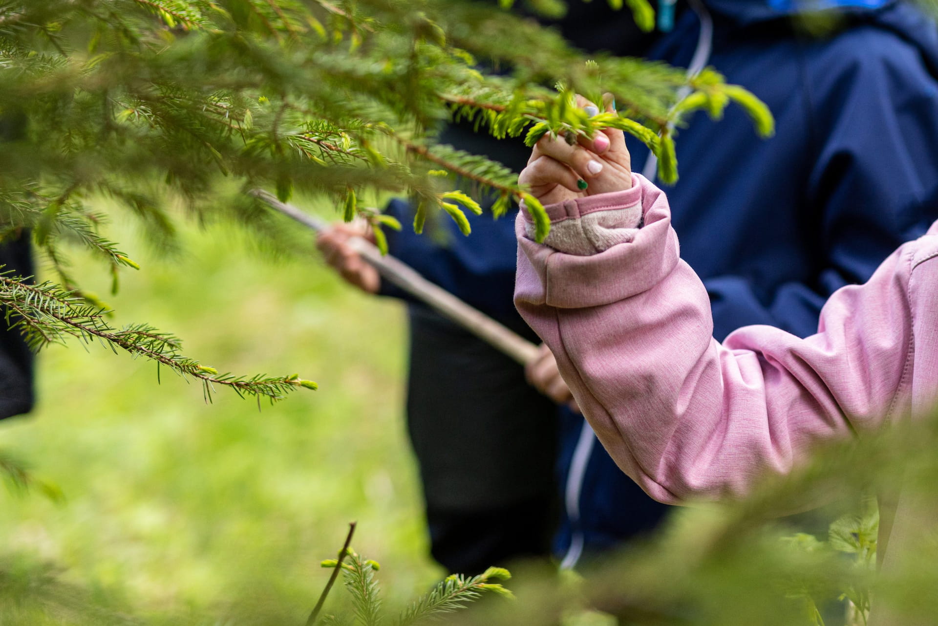 Metsätilan omistajanvaihdoksen verotus -webinaari