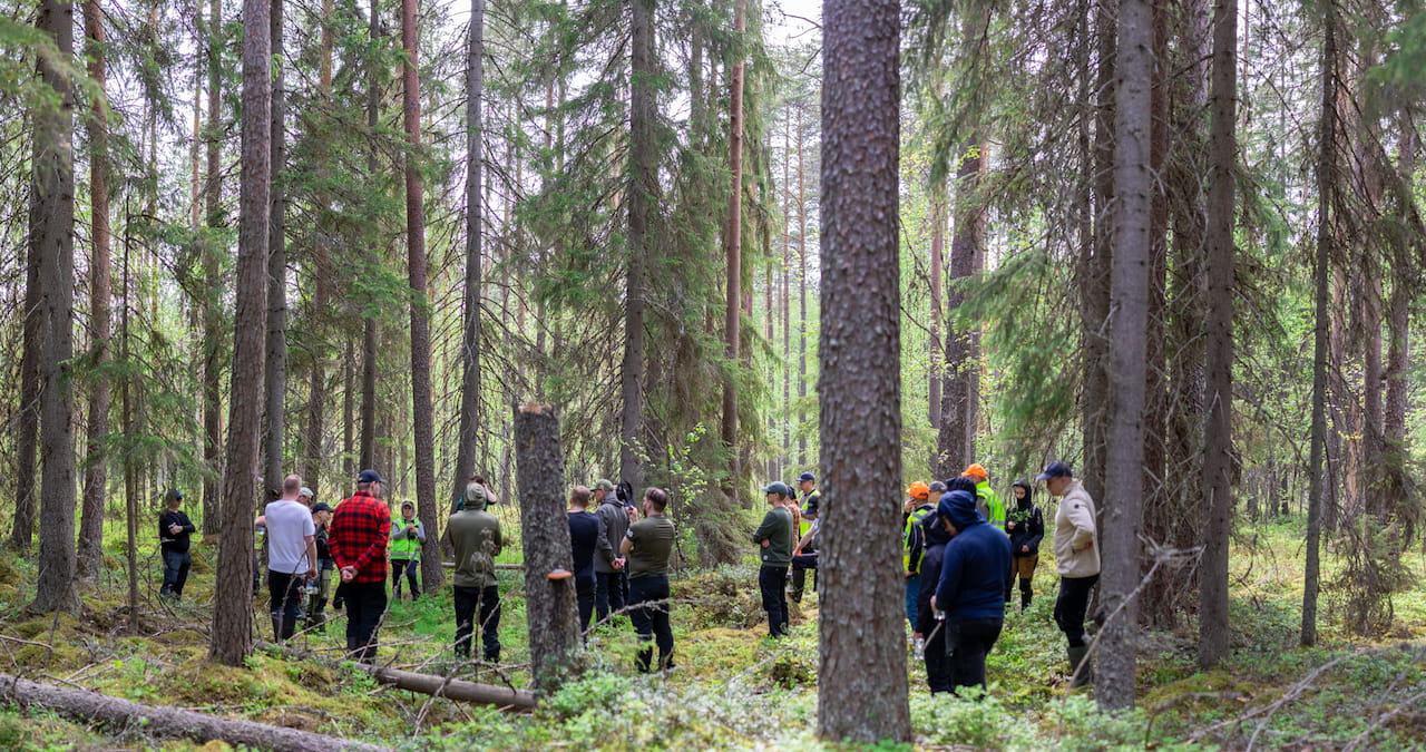 Metsäammattilaiset osoittivat vahvaa osaamista