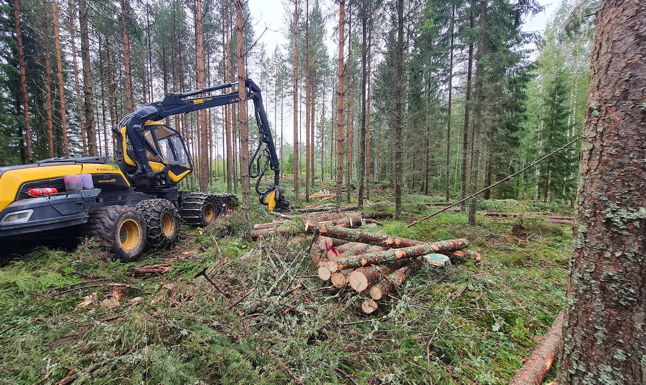 Virkeshandelsöversikt oktober 2025