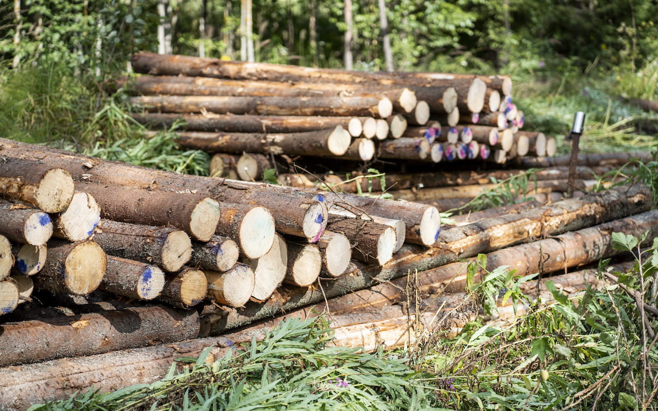 Uusia vaatimuksia hankintapuukauppaan