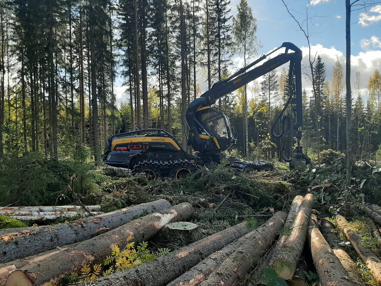 Puukauppa jatkunut syksyllä aktiivisena Keski-Suomessa