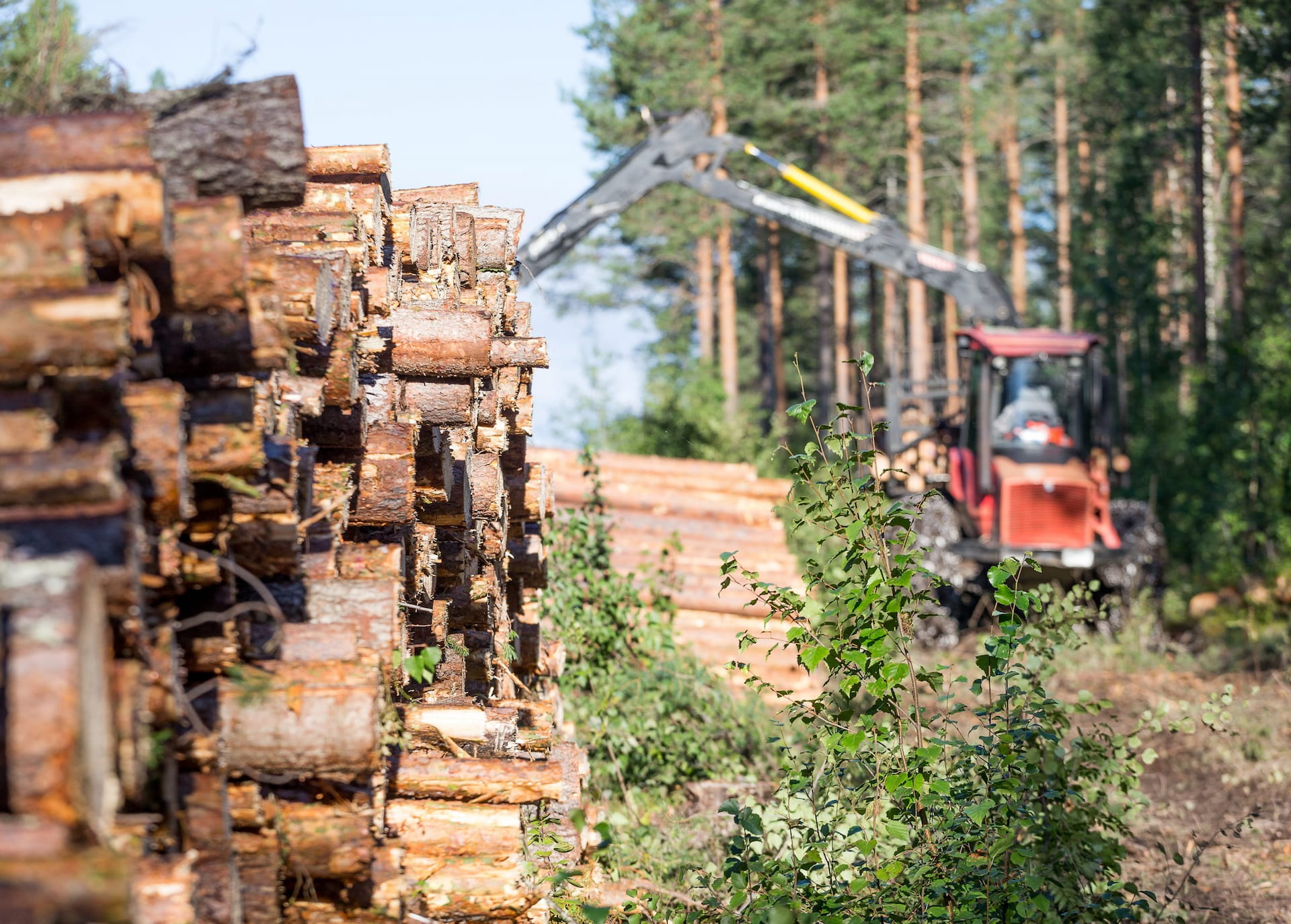 Korjuunäytös Ratasvuomalla