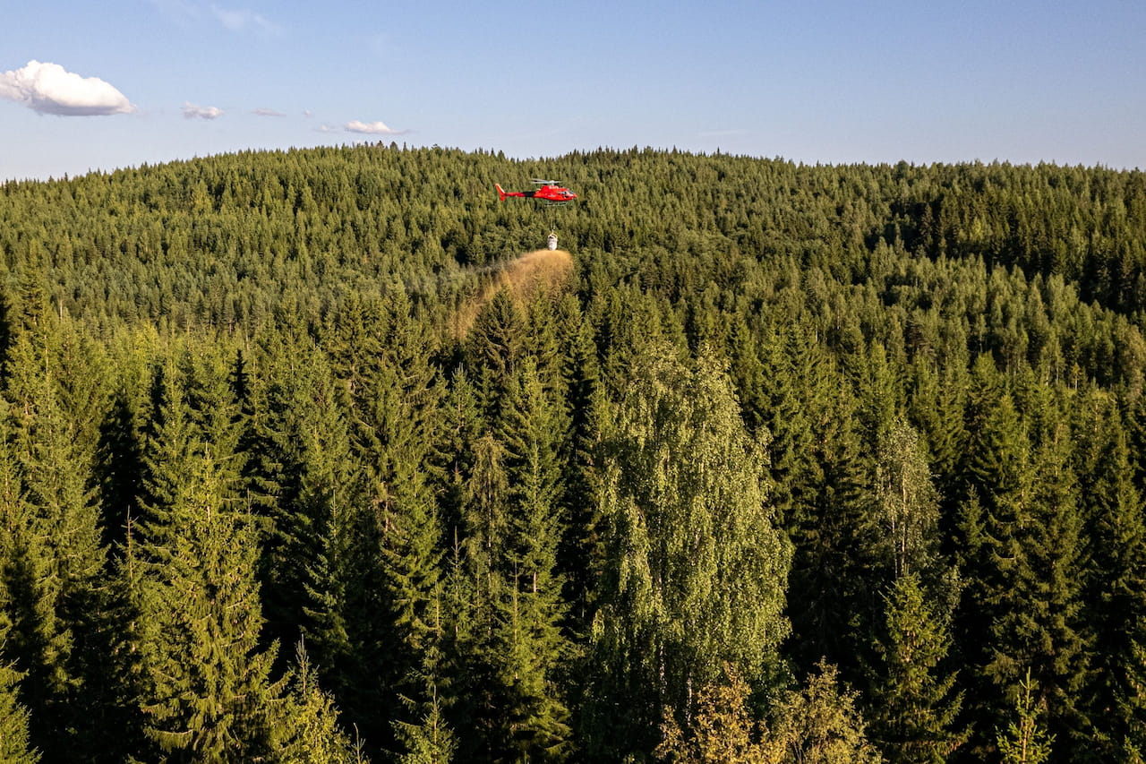 Sijoita metsään, sijoita tulevaisuuteen