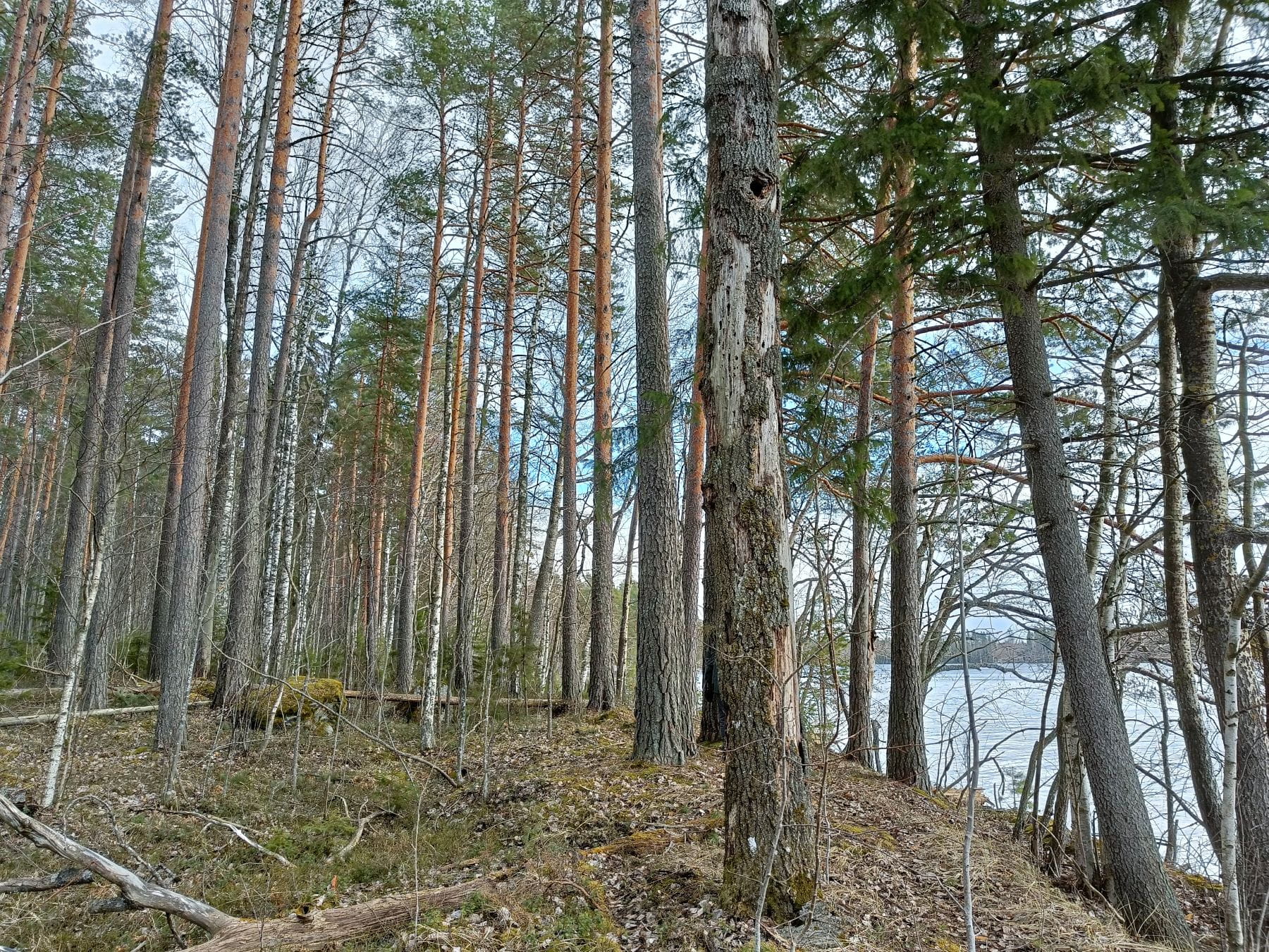 Kolmas kierros ympäristötukea