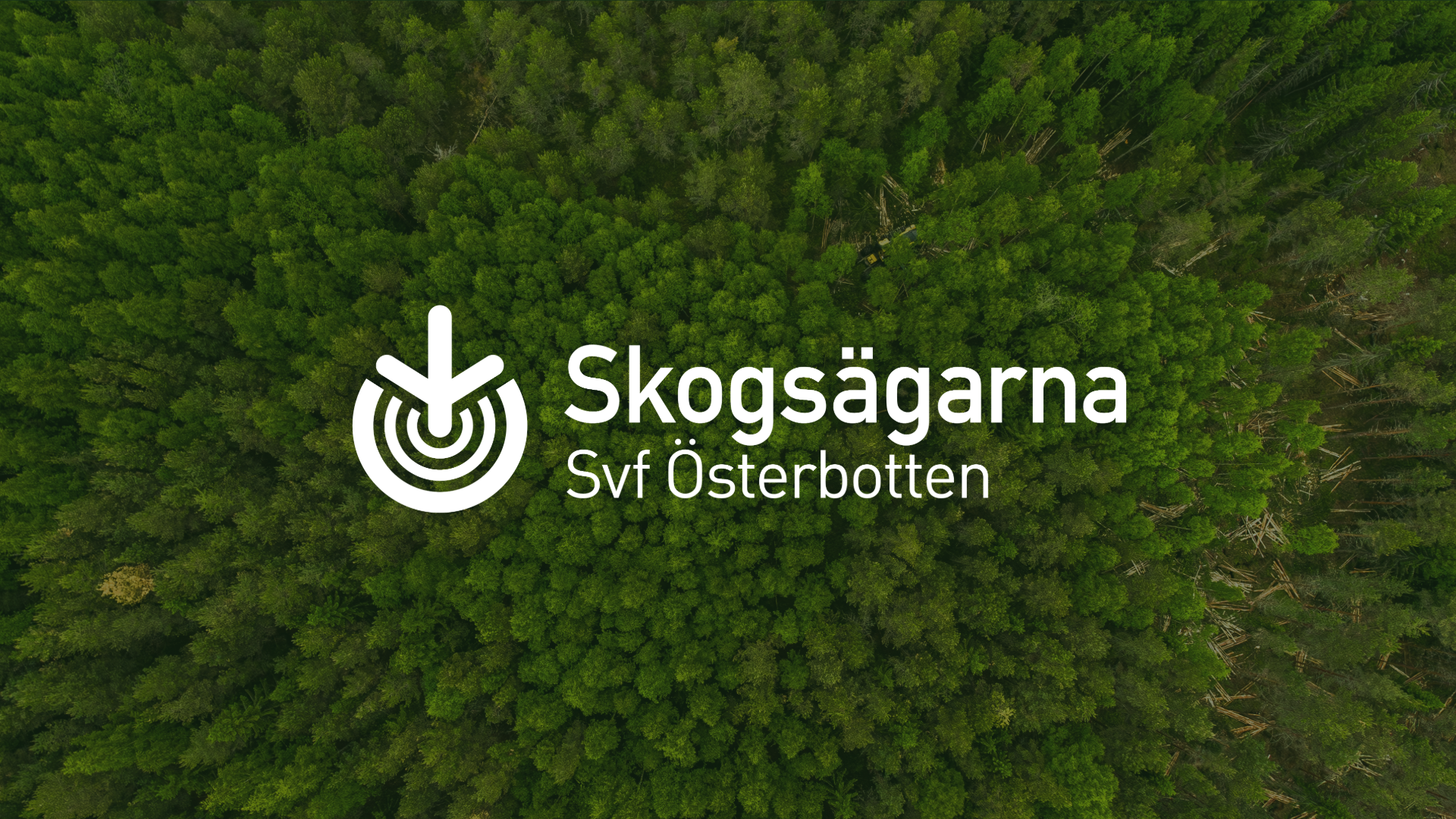 Skogsägarnas medlemsdag i Replot 7.9.2024