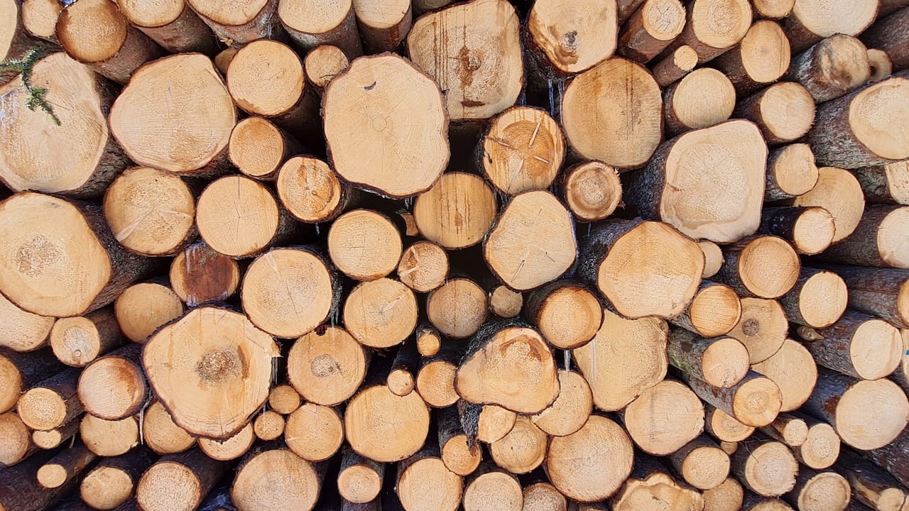 Kilpailutus ratkaisee puukaupassa – nyt kannattaa olla tarkkana