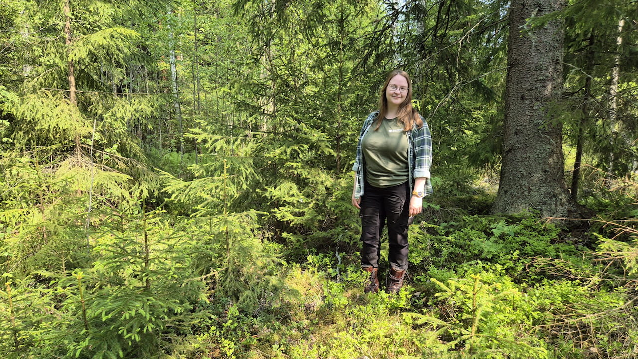 Metsänhoitoyhdistys Etelä-Karjalassa aloittaa luonnonhoidon asiantuntija