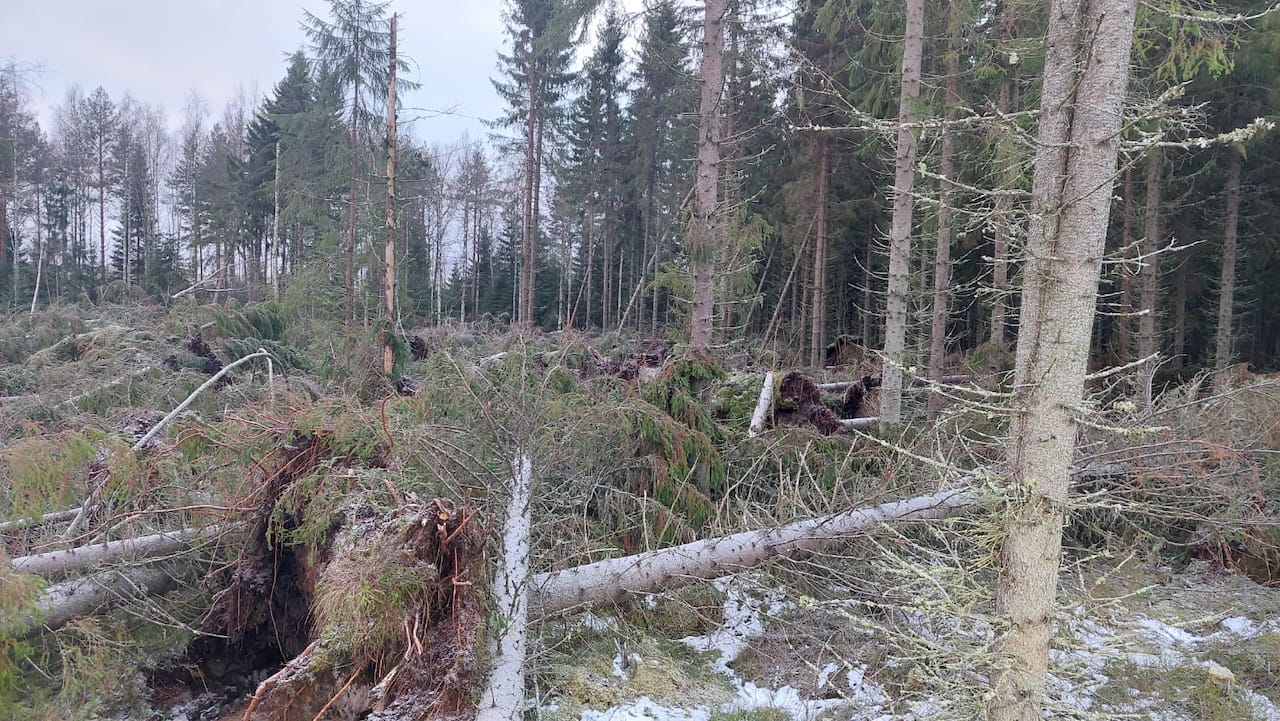 Syysmyrskyt tehneet tuhojaan myös Etelä-Savossa