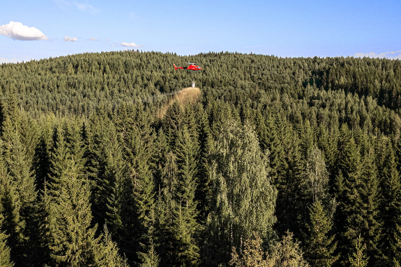 Metsään voi sijoittaa muutenkin kuin ostamalla sitä lisää - metsänlannoituksella metsä kasvuun