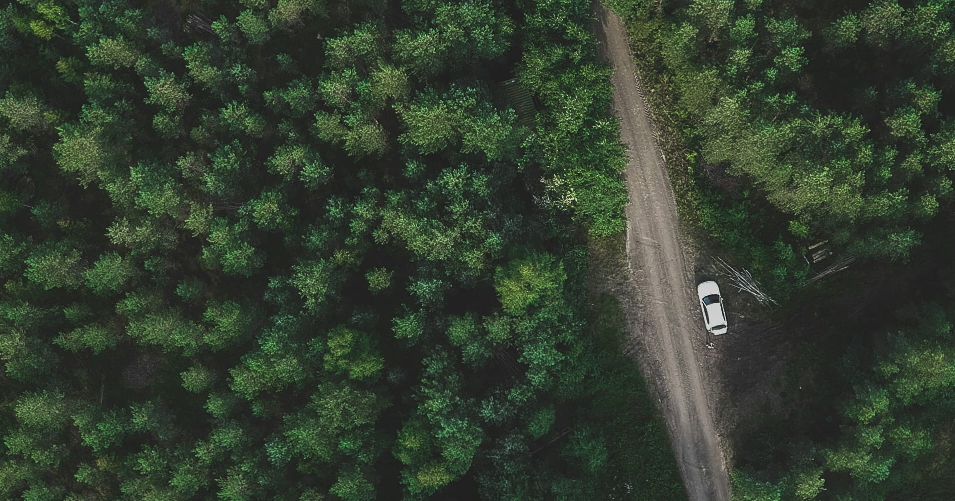Metsäteiden kunnossapito kannattaa -webinaari