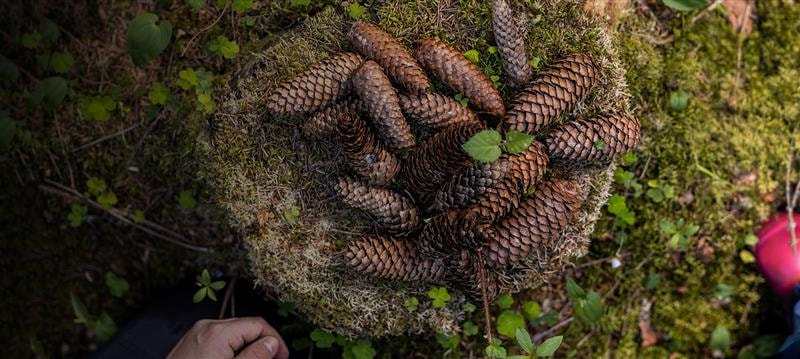 Etkö ole vielä jäsen? Liity jäseneksi!
