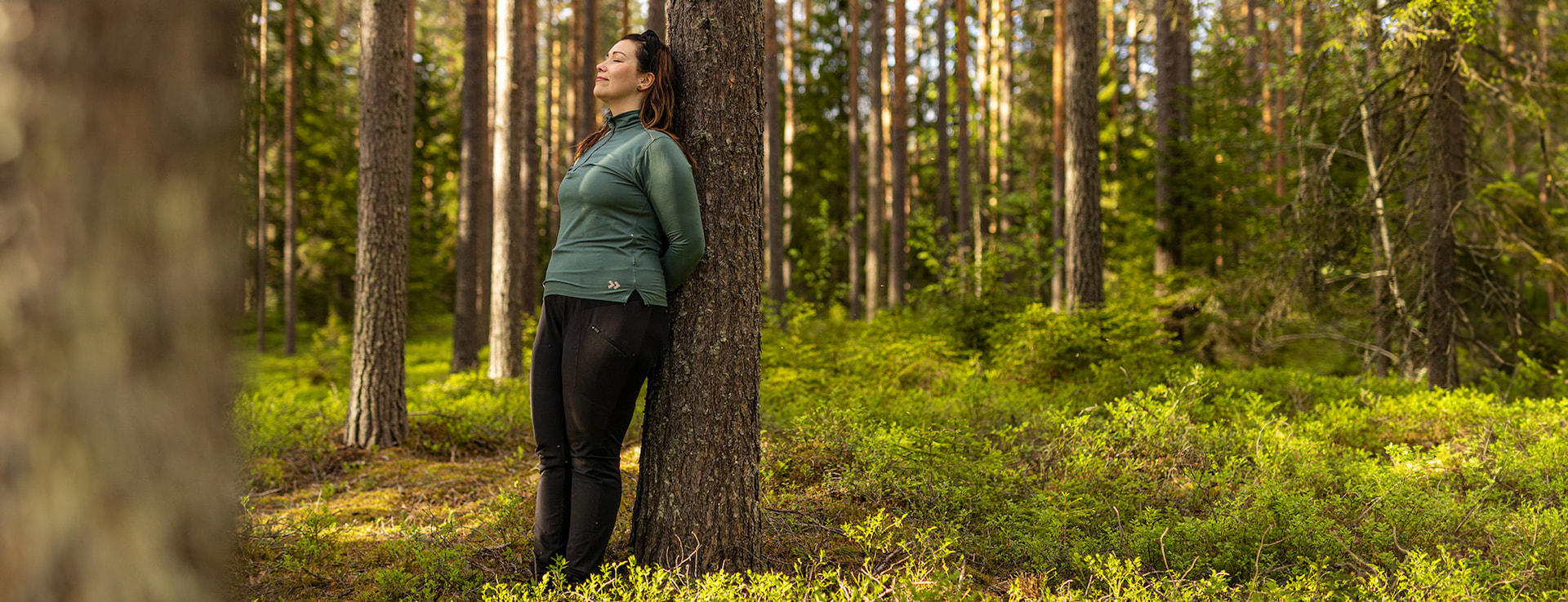 Skogsvårdsföreningen känner din skog