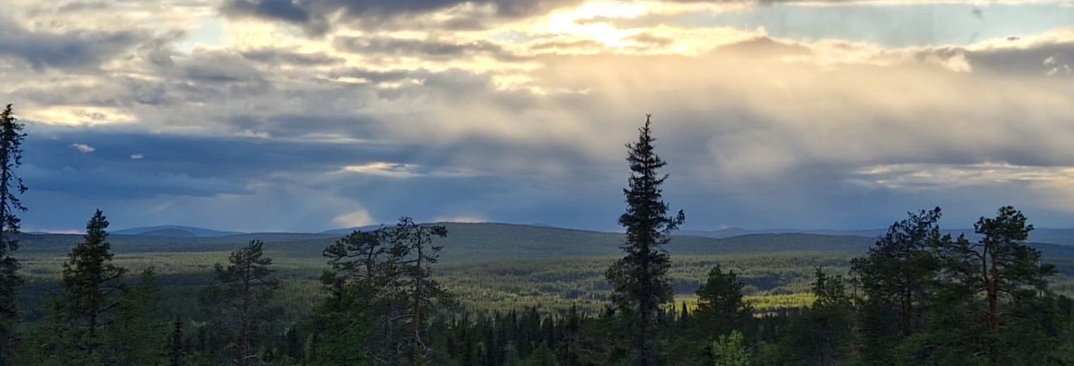 Me tunnemme metsäsi.