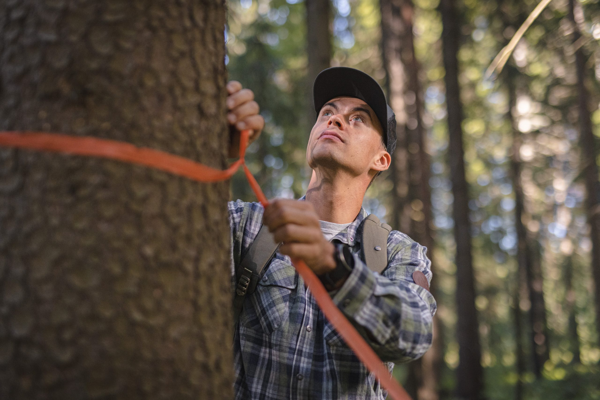 Tervetuloa Metsänhoitoyhdistys Etelä-Karjalan sivuille