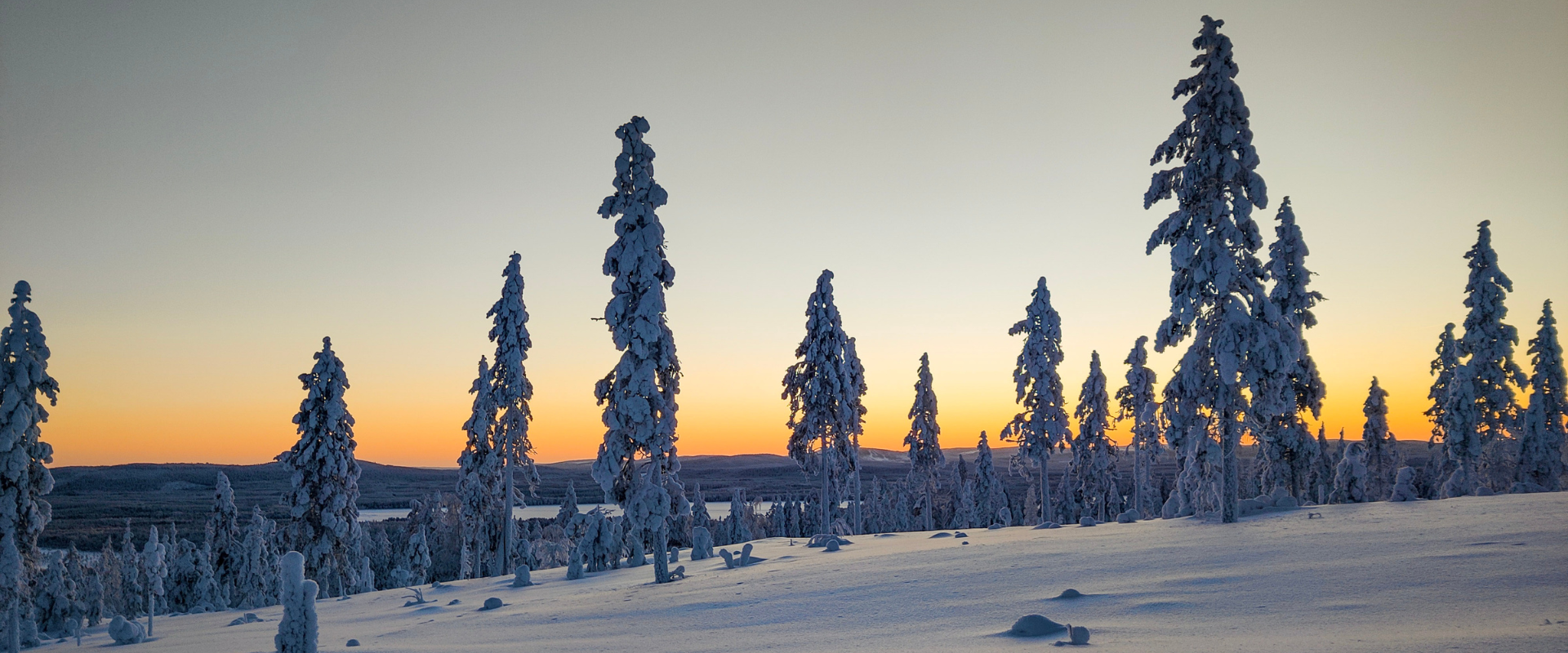 Metsänhoitoyhdistys tuntee metsäsi