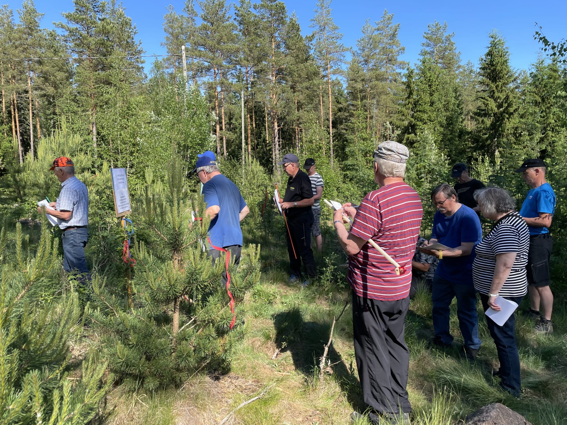 Mhy Lounametsän metsätaitokilpailut Laitilassa