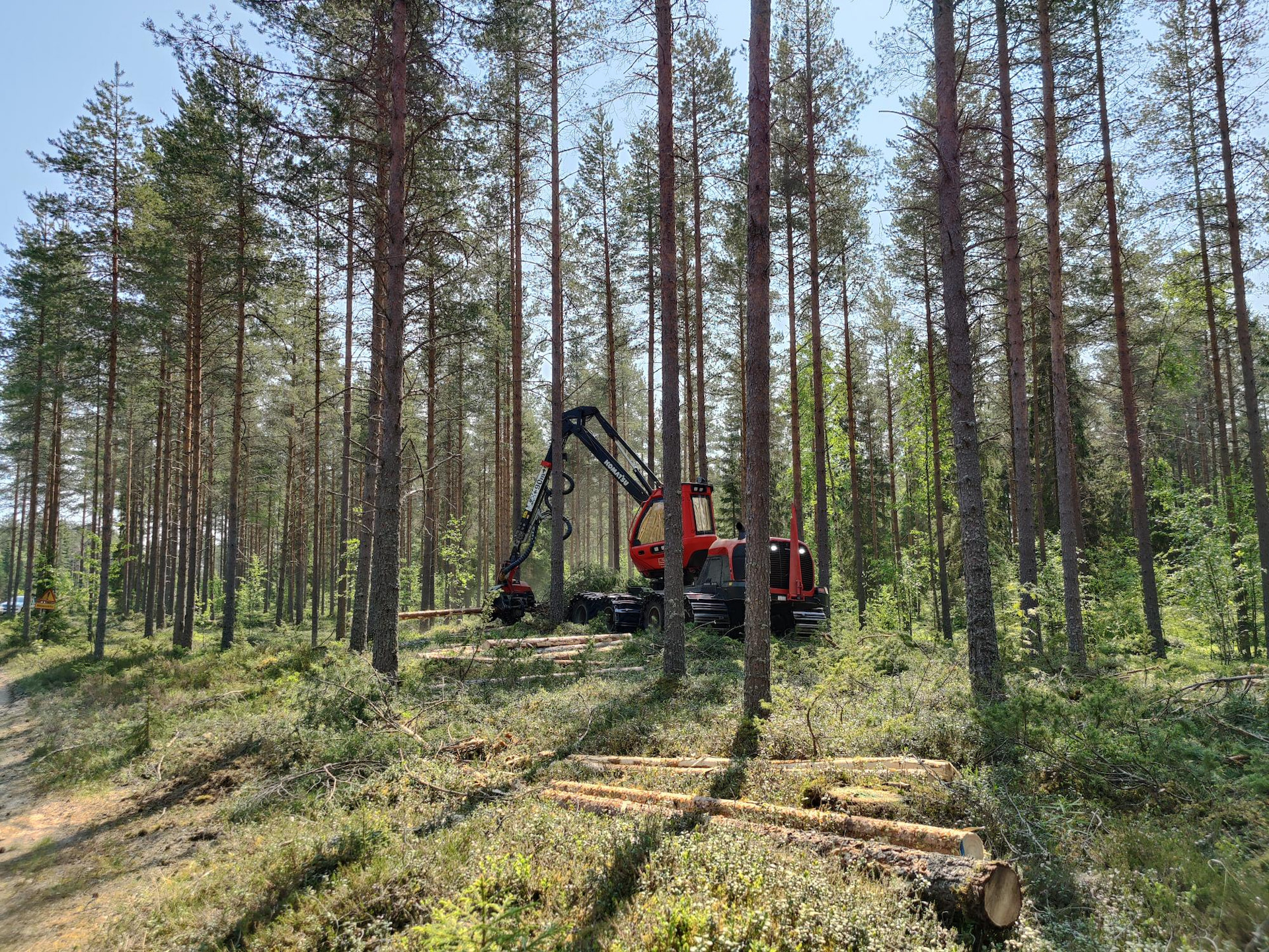 Metsänhoitoyhdistys tuntee metsäsi